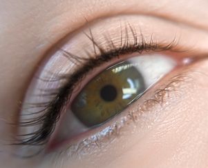 Permanent Eyelash Enhancement