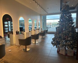 Salon with Christmas Tree